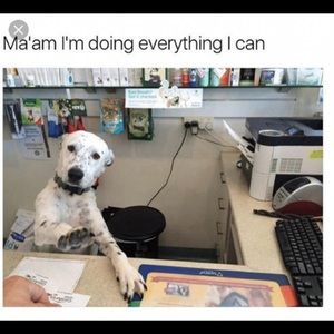 Meet your Posher, Aly